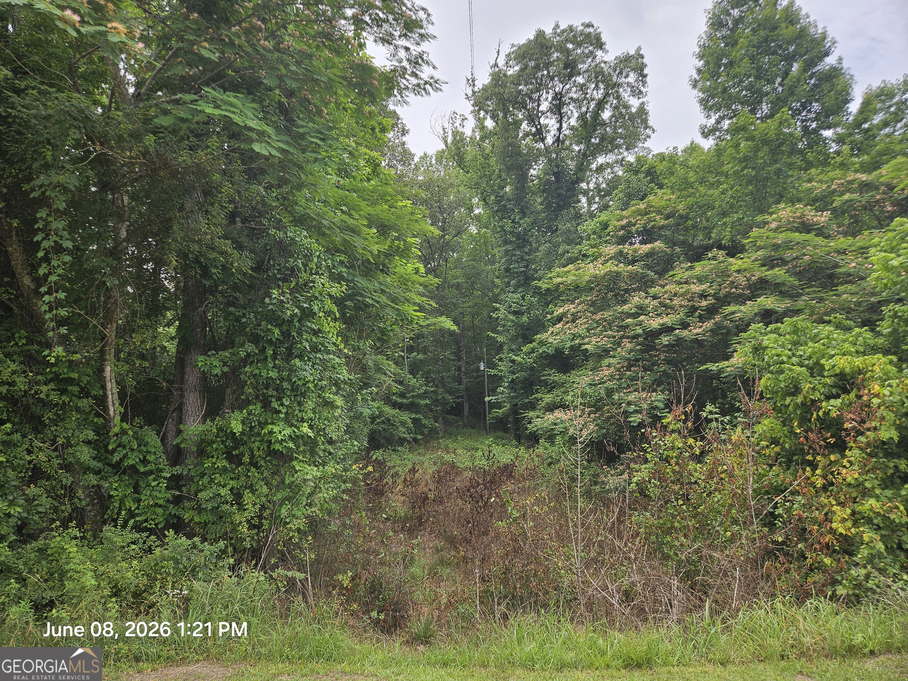 0 Davis Road Macon GA 31217