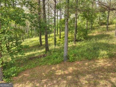 Lot 31 Eastside Drive Ellijay GA 30536