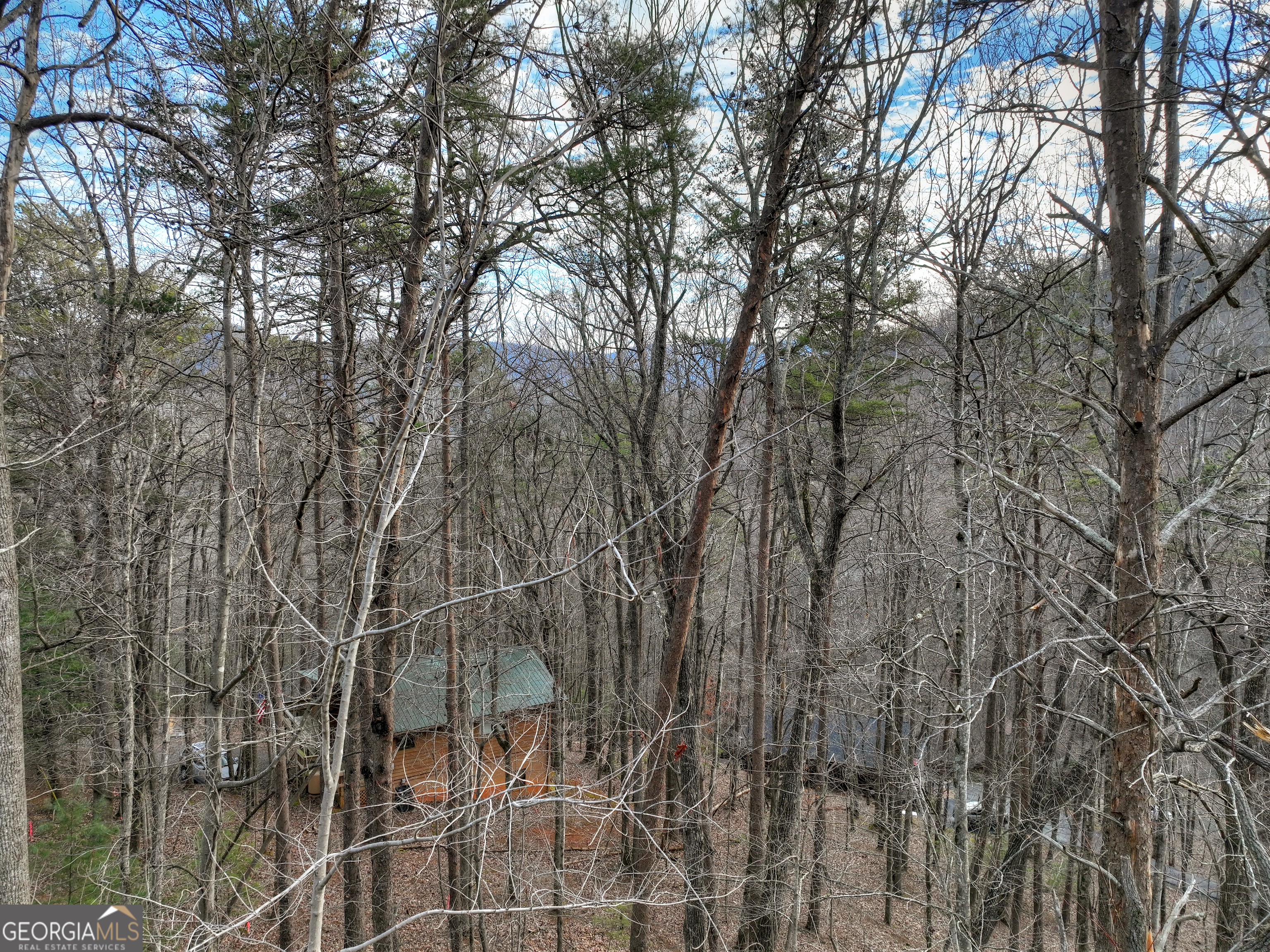 Lt M57 Walnut Mountain Court Ellijay GA 30536