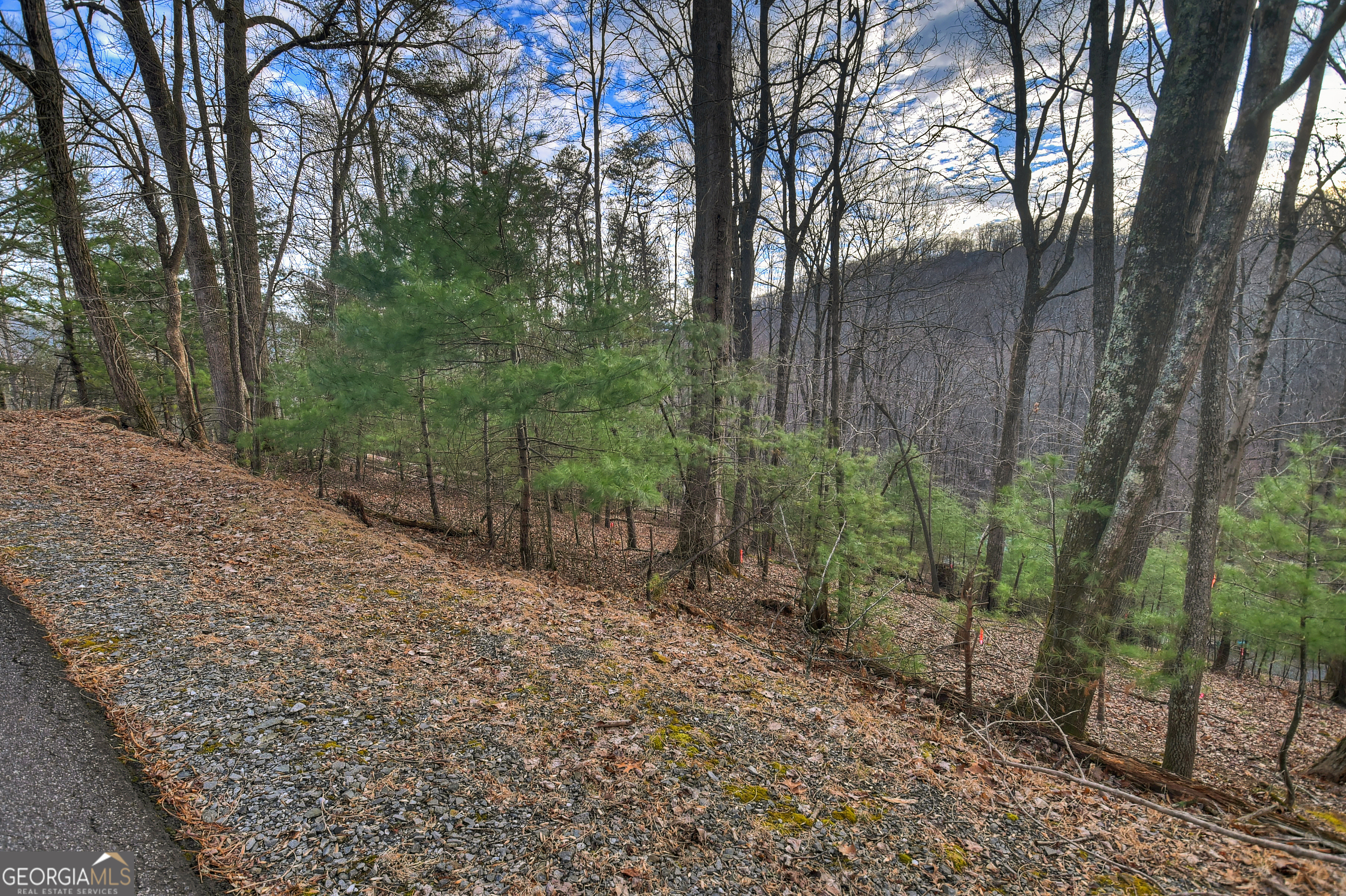 Lt M57 Walnut Mountain Court Ellijay GA 30536