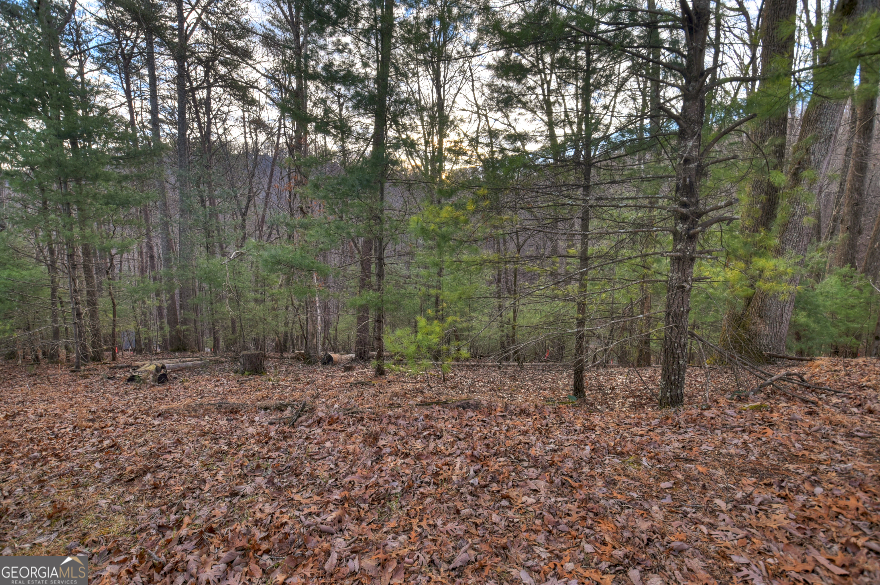 Lt M57 Walnut Mountain Court Ellijay GA 30536