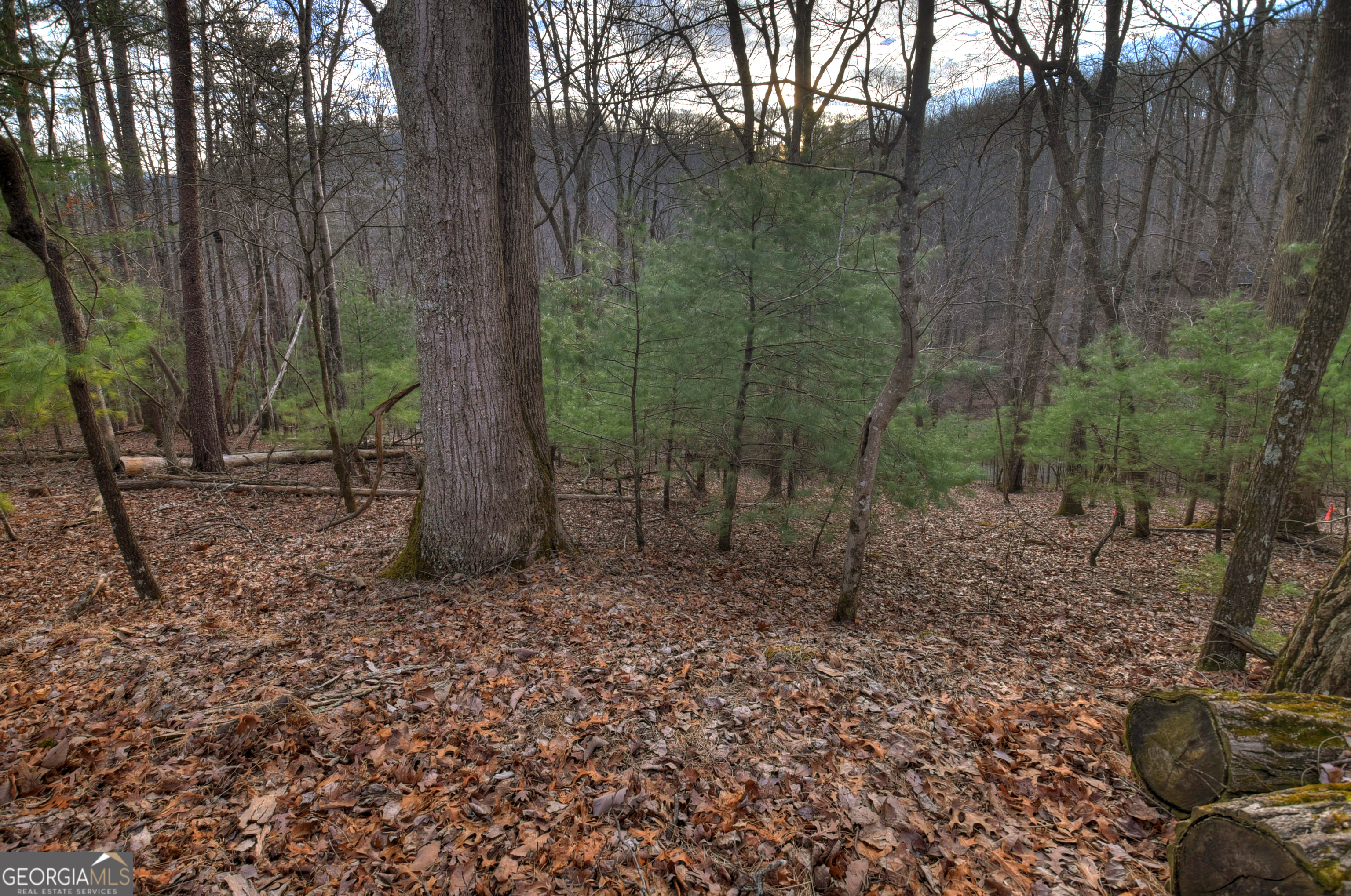 Lt M57 Walnut Mountain Court Ellijay GA 30536