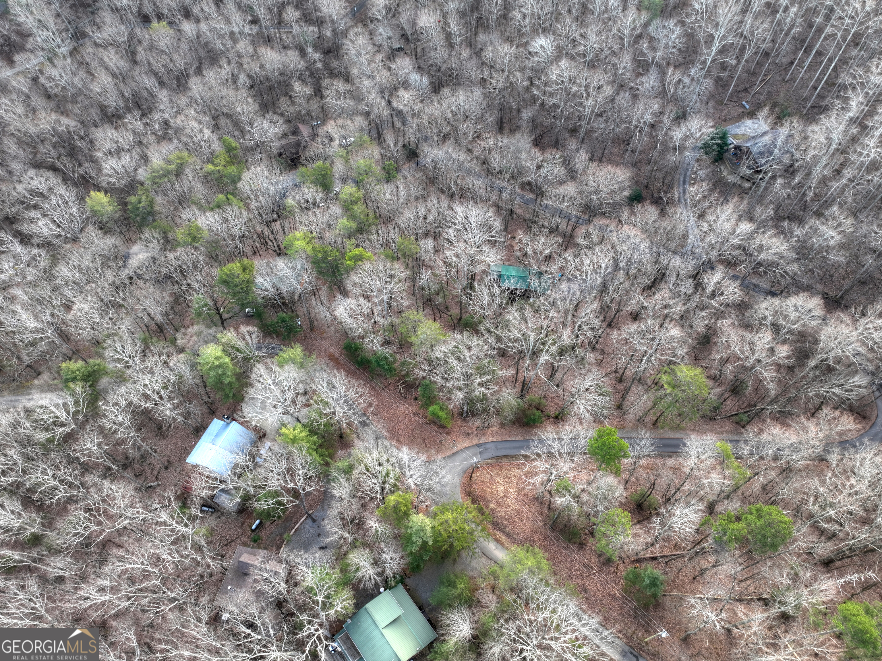 Lt M57 Walnut Mountain Court Ellijay GA 30536
