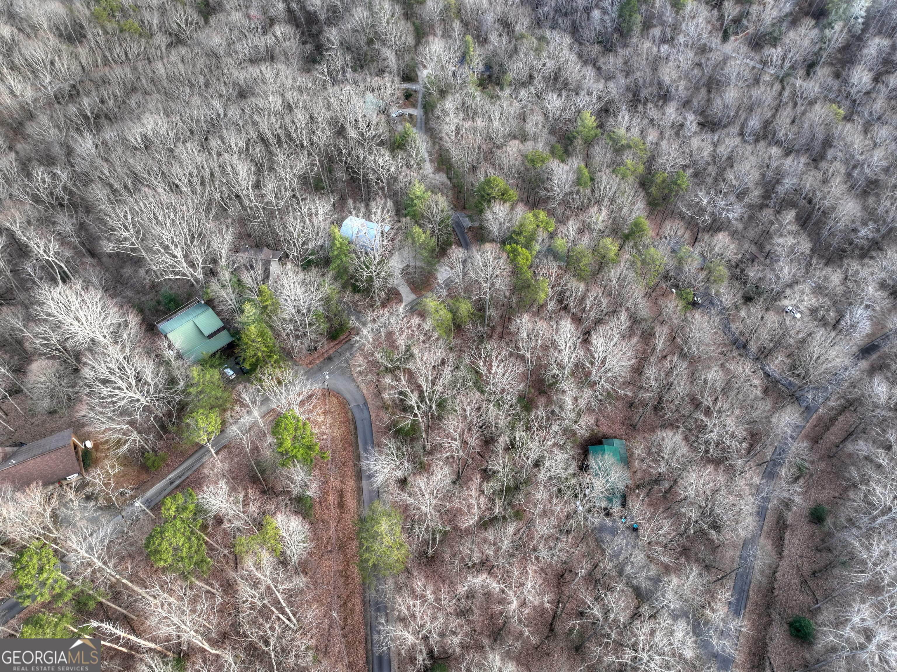 Lt M57 Walnut Mountain Court Ellijay GA 30536