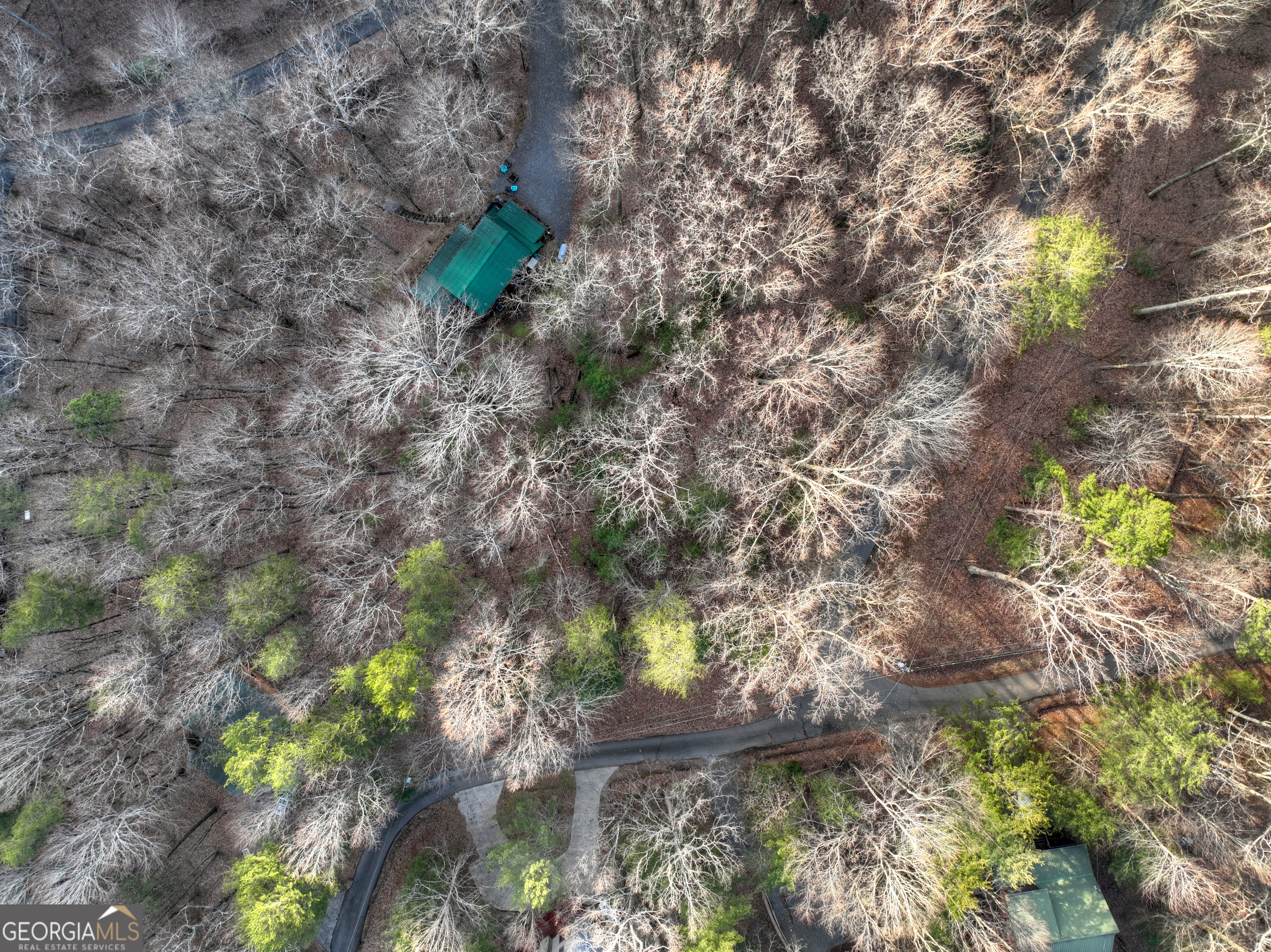 Lt M57 Walnut Mountain Court Ellijay GA 30536