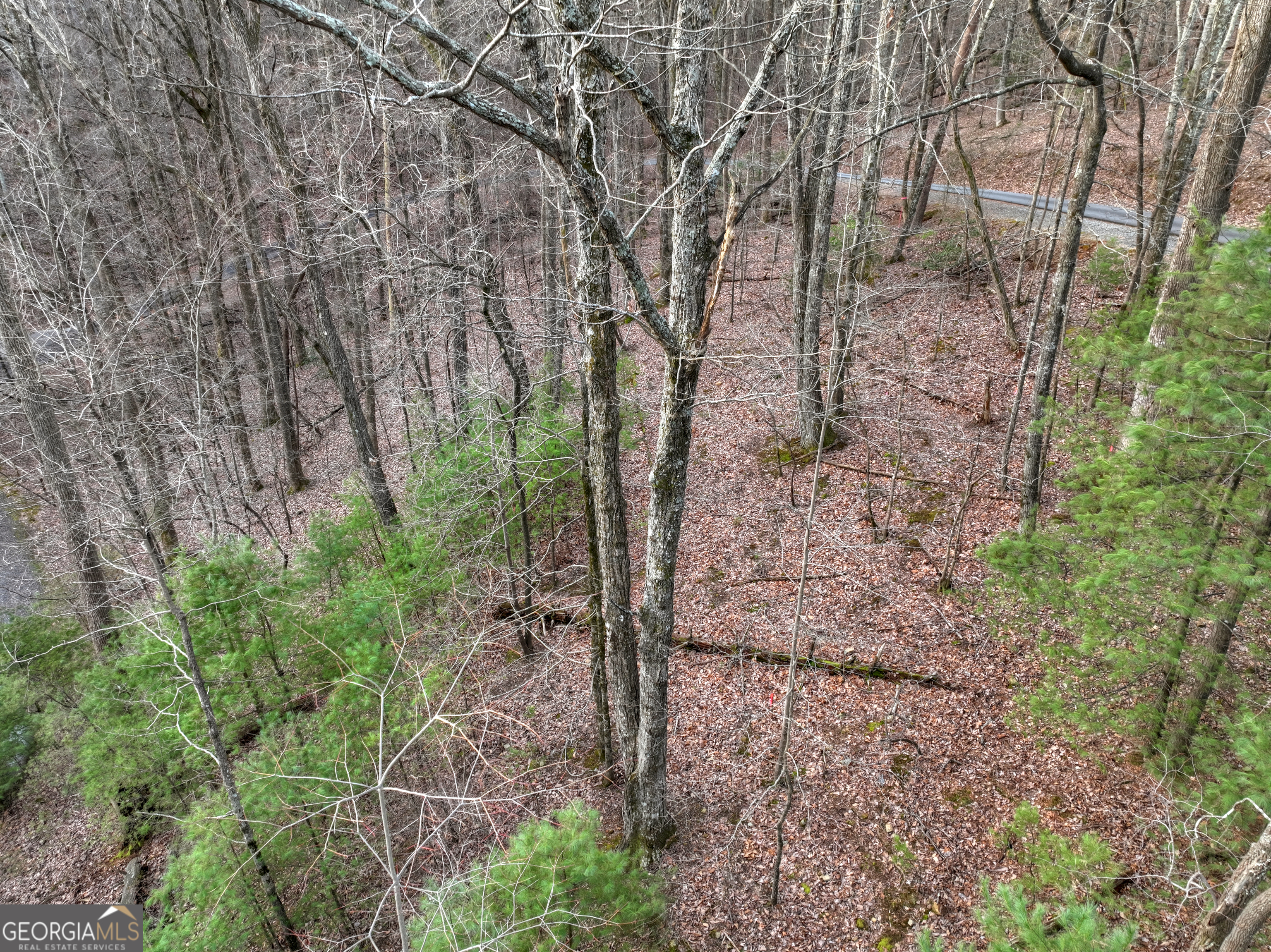 Lt M57 Walnut Mountain Court Ellijay GA 30536