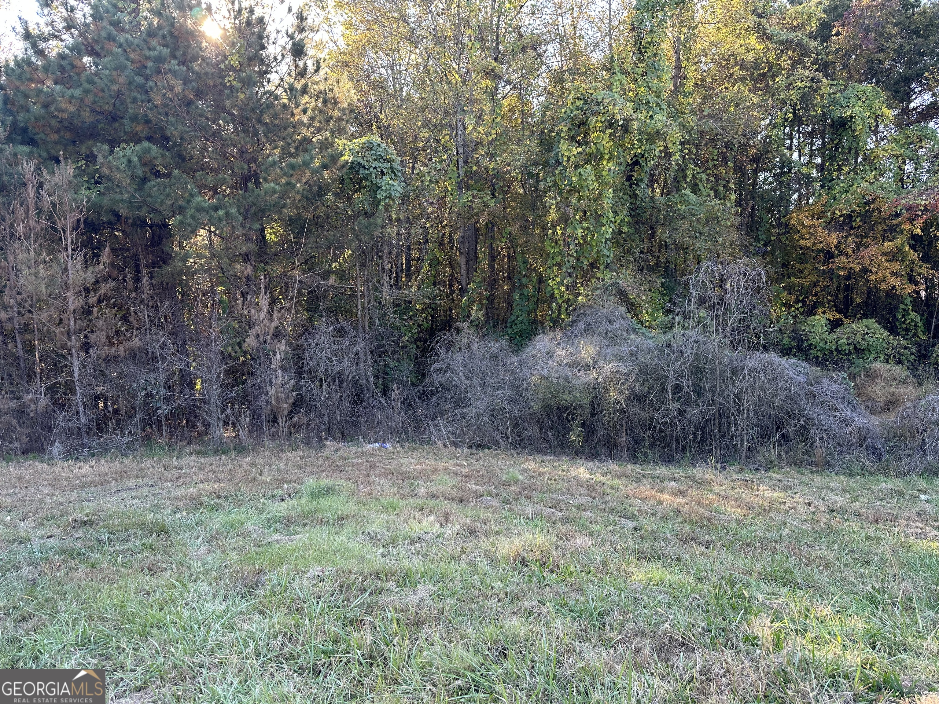0 Highway 27 No Street Suffix N Carrollton GA 30117