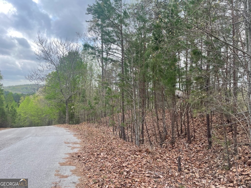 0 Planters Pointe Drive Baldwin GA 30511