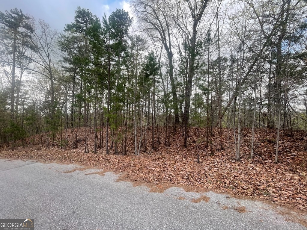 0 Planters Pointe Drive Baldwin GA 30511