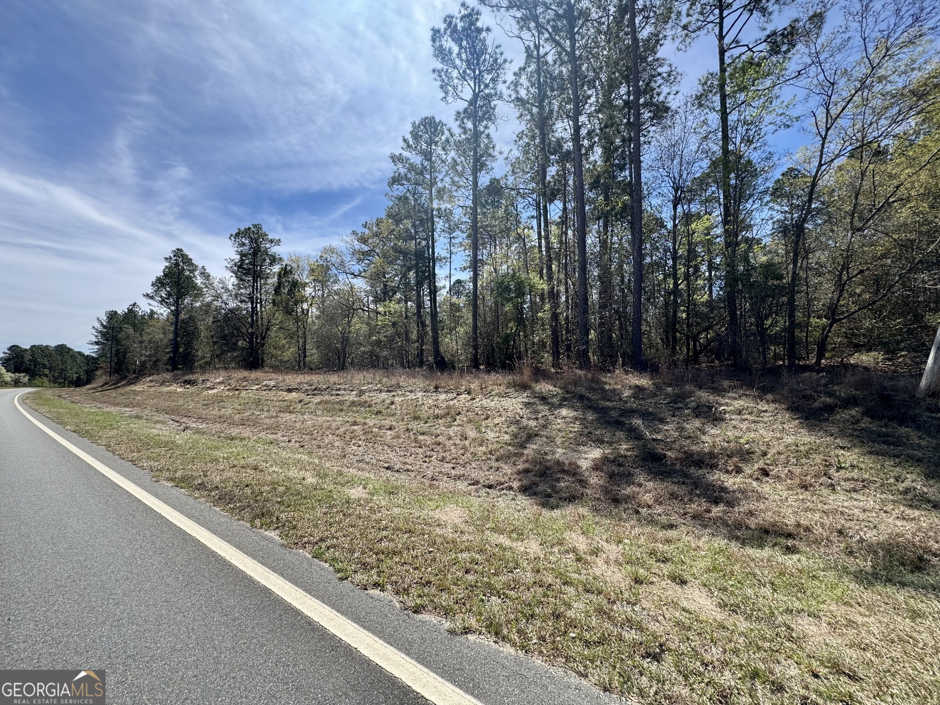 0 East Ga Highway 86 Lyons GA 30436