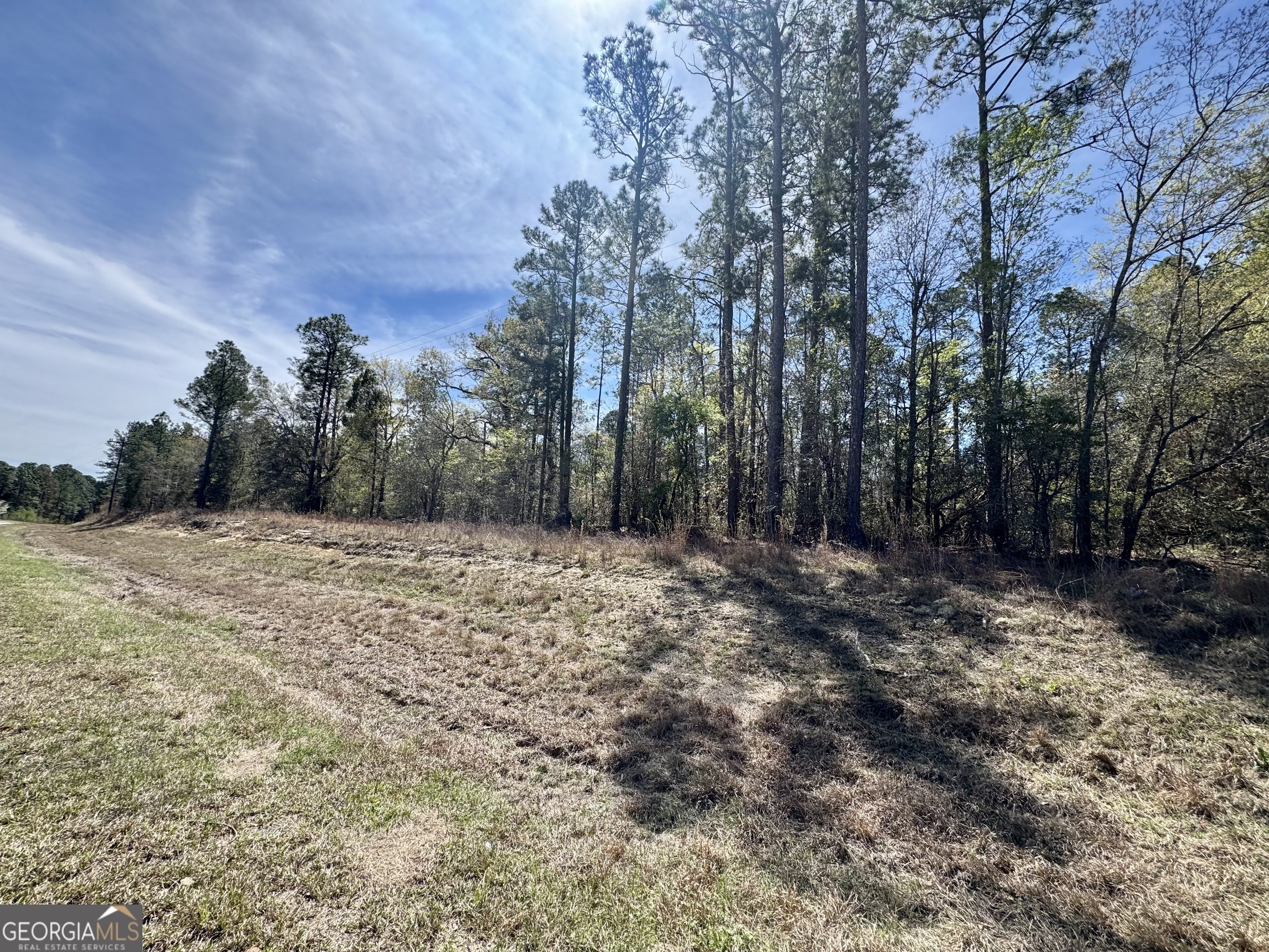 0 East Ga Highway 86 Lyons GA 30436