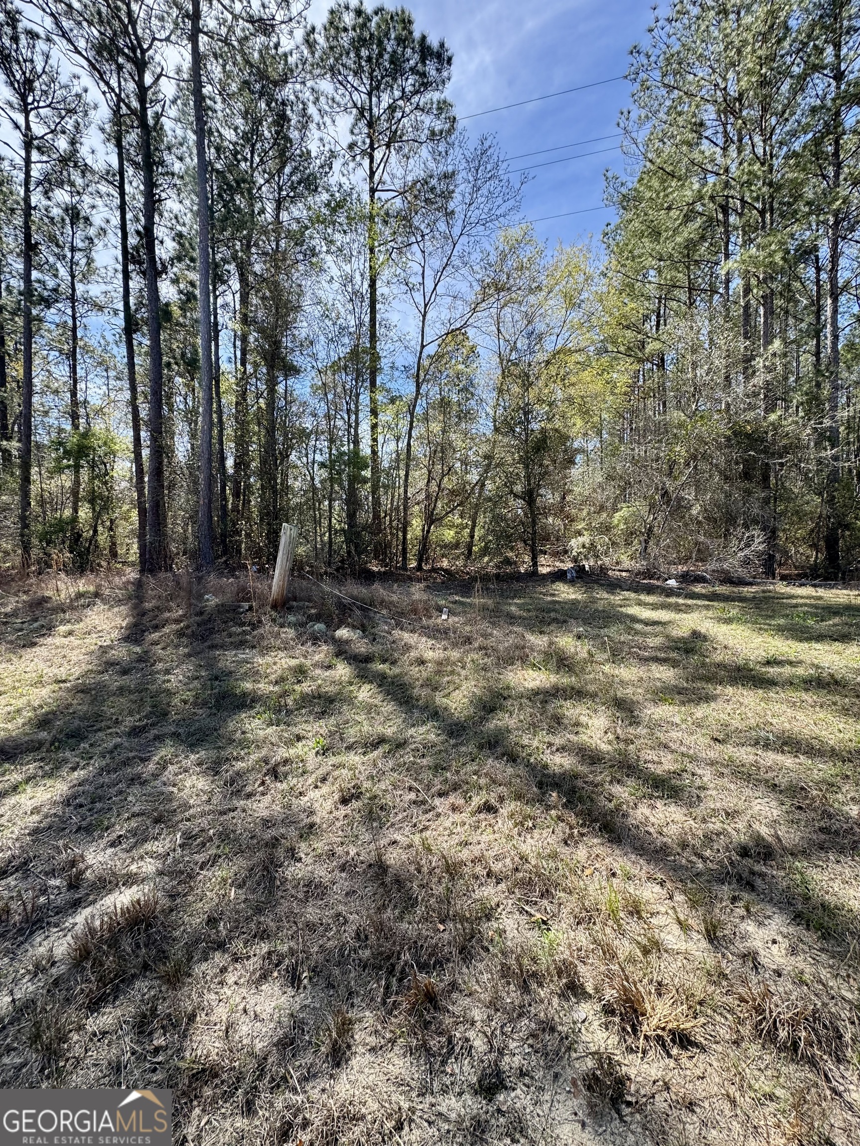 0 East Ga Highway 86 Lyons GA 30436