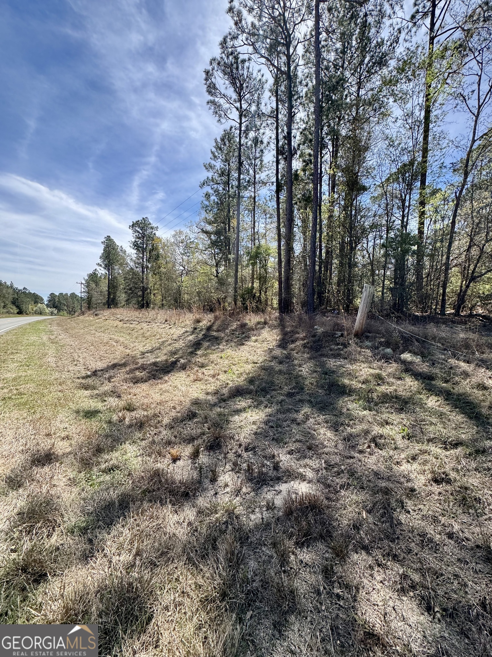 0 East Ga Highway 86 Lyons GA 30436