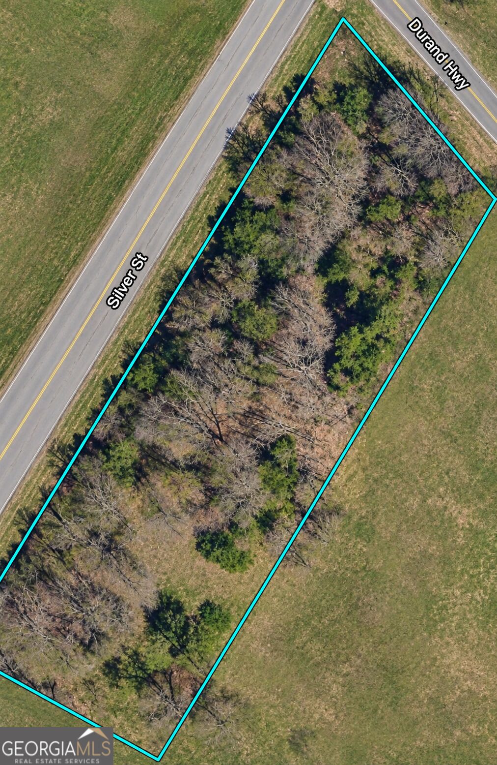 0 Durand Highway Warm Springs GA 31830