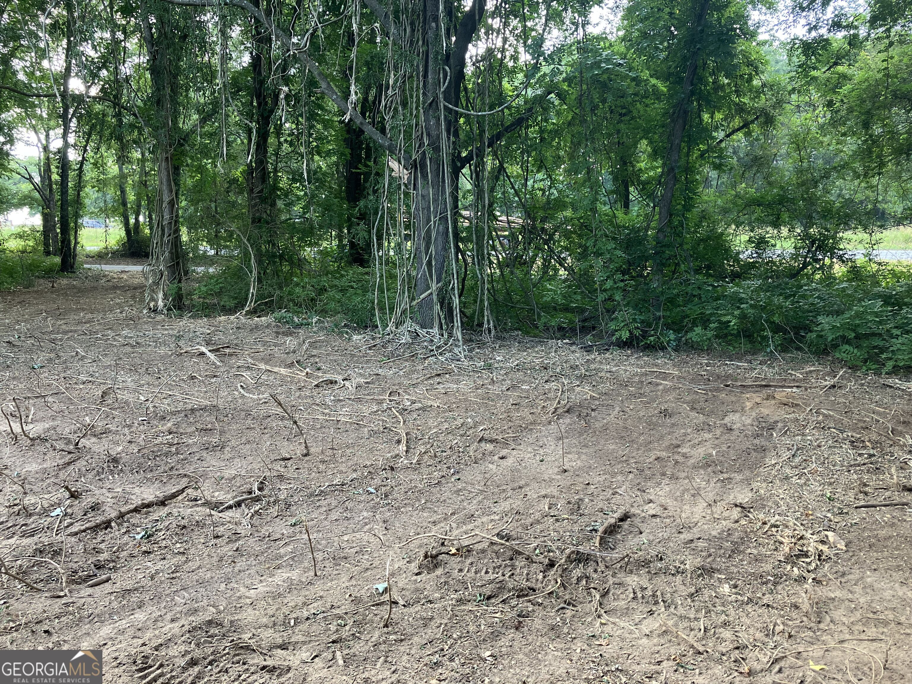 0 Durand Highway Warm Springs GA 31830