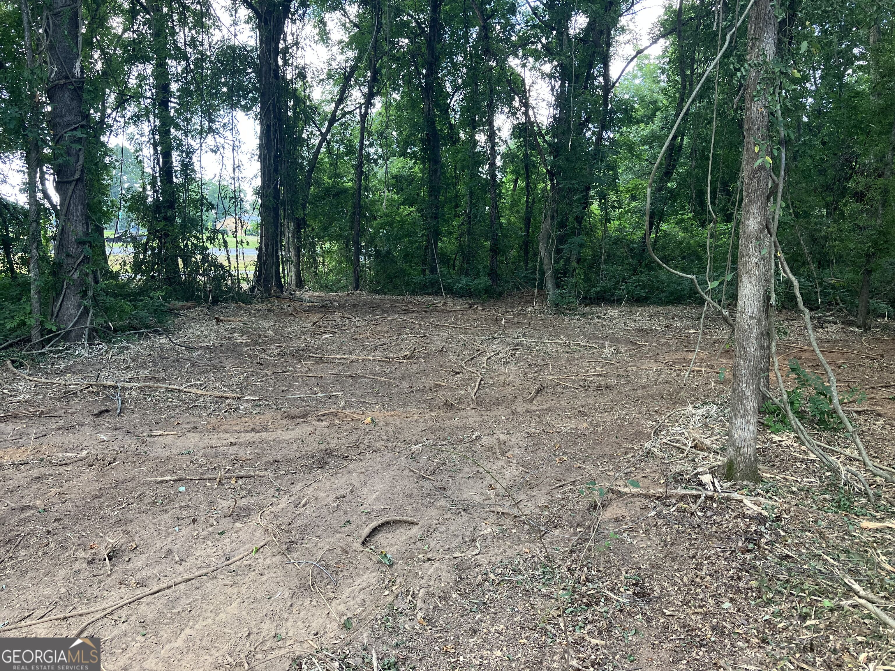 0 Durand Highway Warm Springs GA 31830