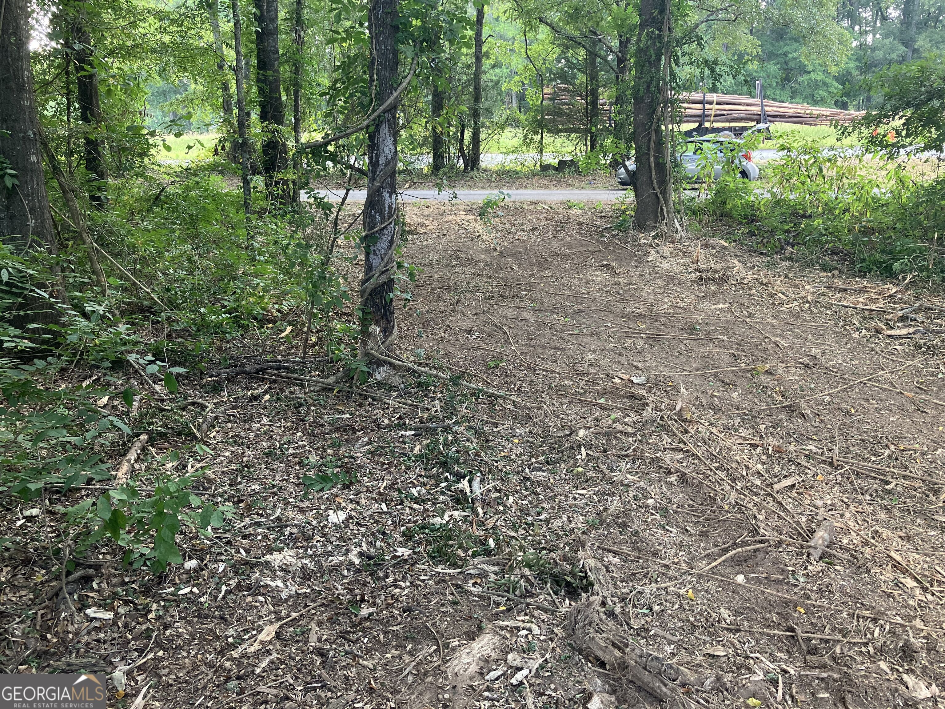 0 Durand Highway Warm Springs GA 31830