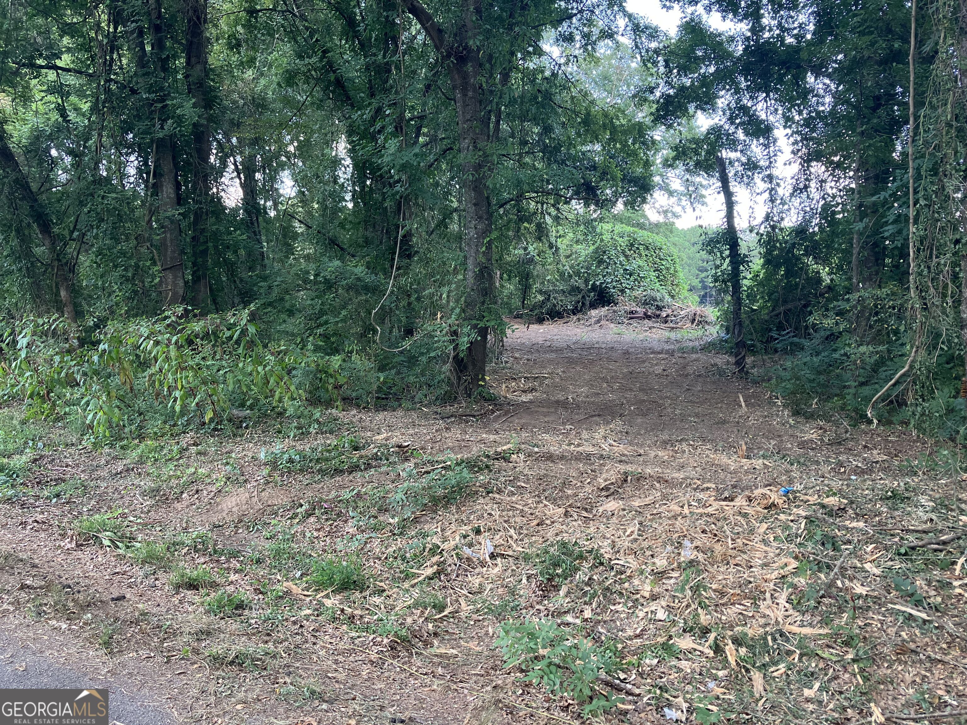 0 Durand Highway Warm Springs GA 31830
