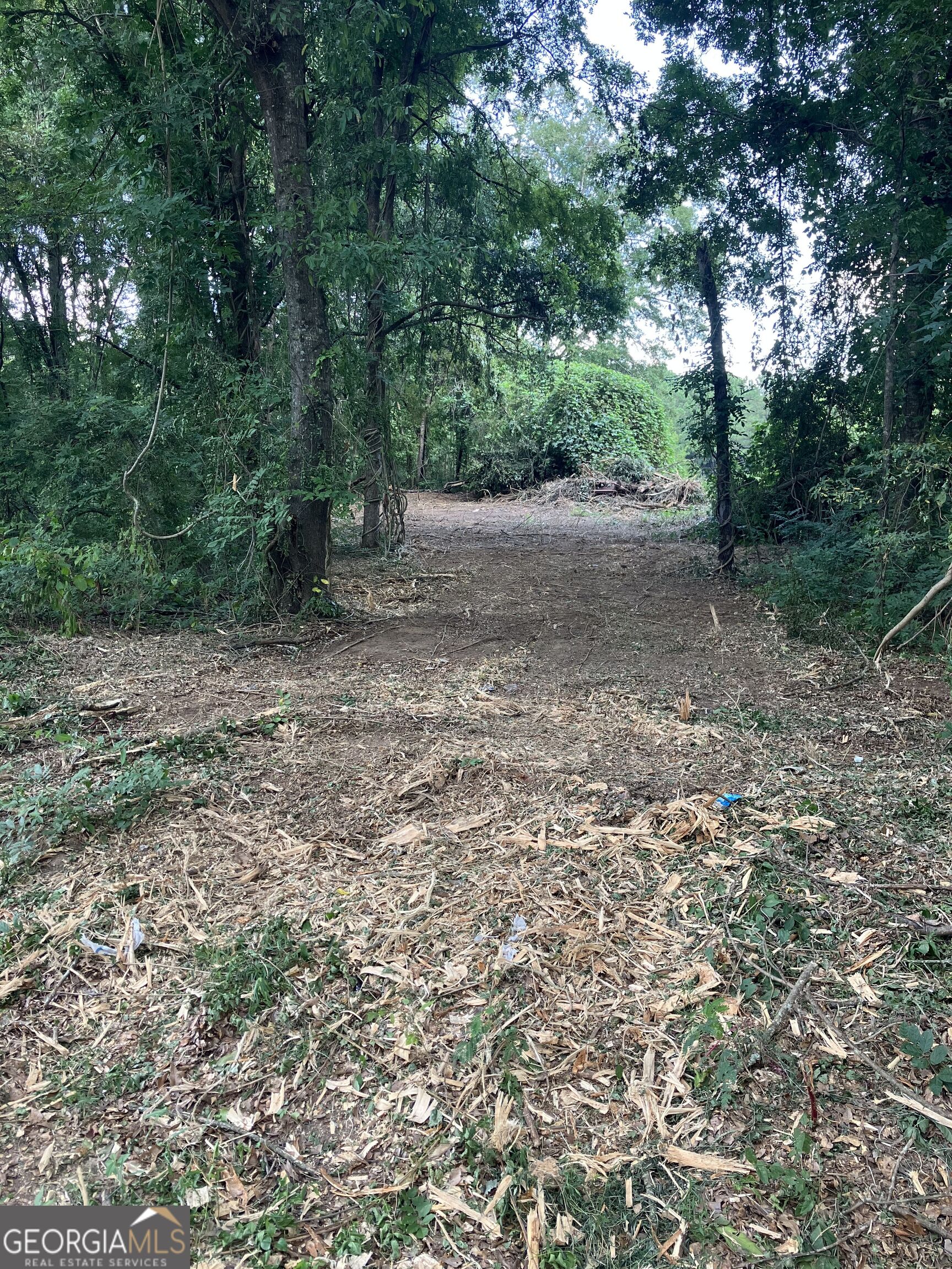 0 Durand Highway Warm Springs GA 31830