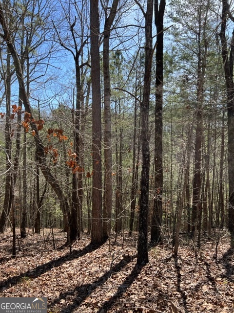 Lot 4 Hunter Ridge Ellijay GA 30540