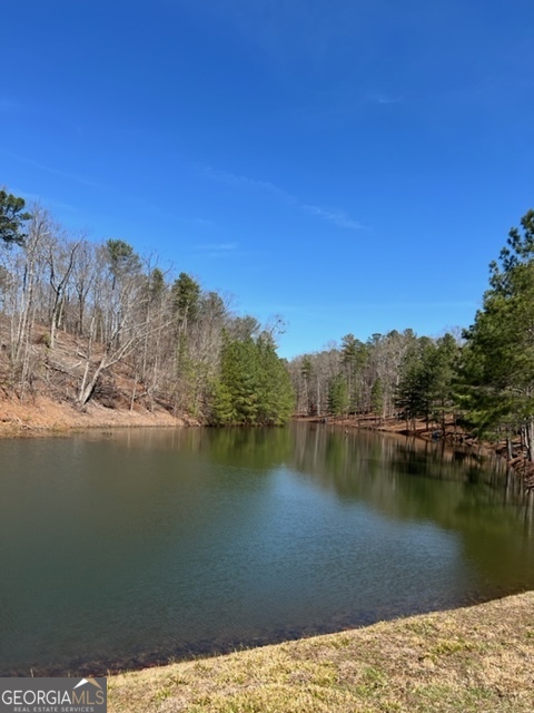 Lot 4 Hunter Ridge Ellijay GA 30540