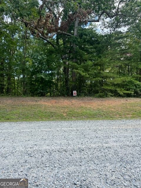 Lot 4 Hunter Ridge Ellijay GA 30540