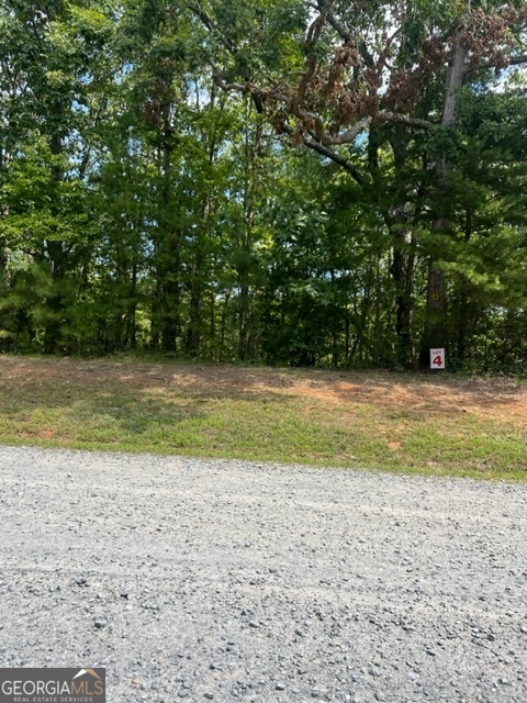 Lot 4 Hunter Ridge Ellijay GA 30540