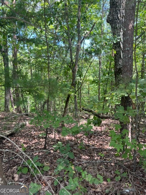 Lot 4 Hunter Ridge Ellijay GA 30540