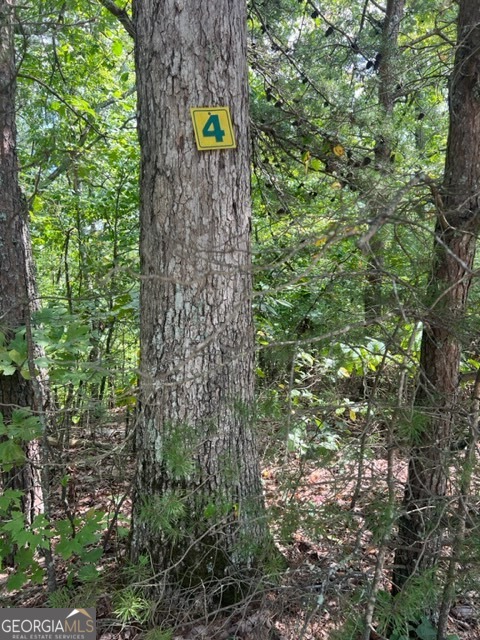 Lot 4 Hunter Ridge Ellijay GA 30540
