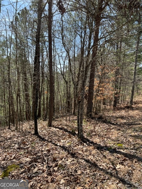 Lot 4 Hunter Ridge Ellijay GA 30540