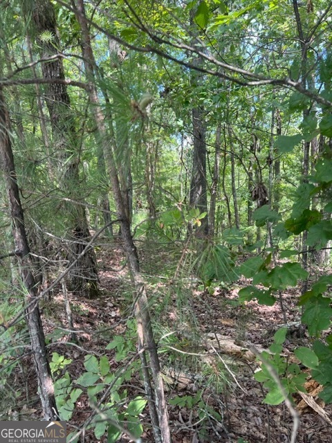Lot 4 Hunter Ridge Ellijay GA 30540