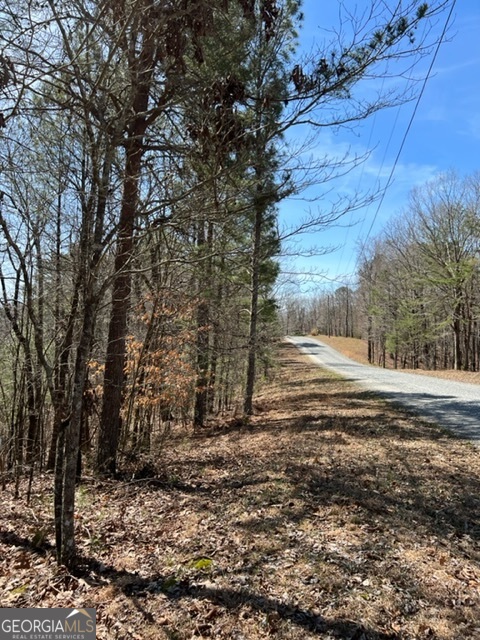 Lot 4 Hunter Ridge Ellijay GA 30540