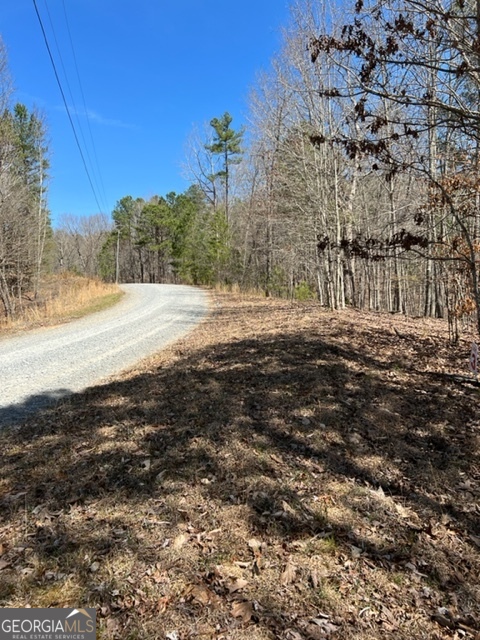 Lot 4 Hunter Ridge Ellijay GA 30540