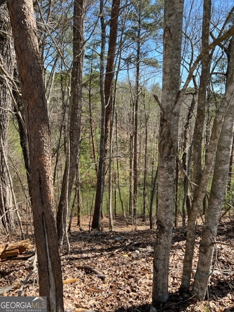 Lot 4 Hunter Ridge Ellijay GA 30540