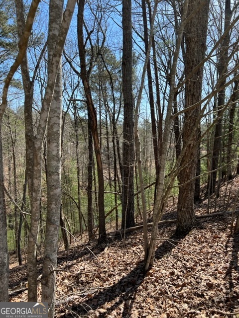 Lot 4 Hunter Ridge Ellijay GA 30540