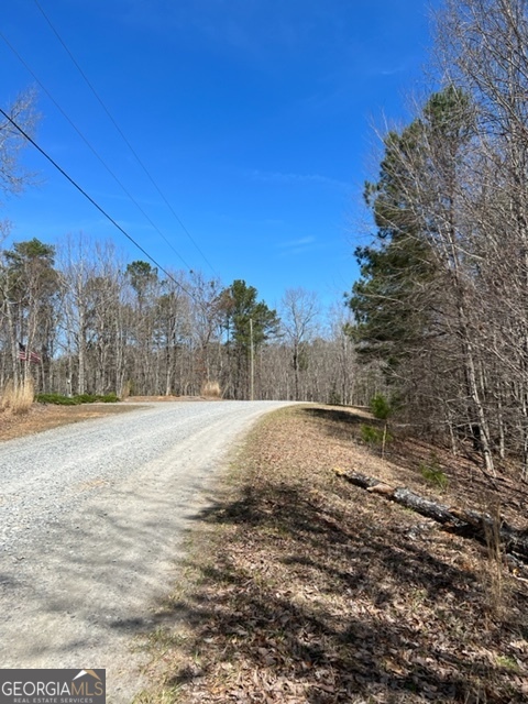 Lot 4 Hunter Ridge Ellijay GA 30540