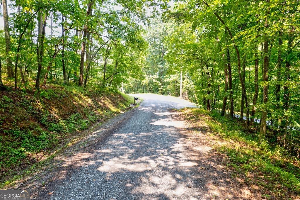 0 Shady Lane Mineral Bluff GA 30559