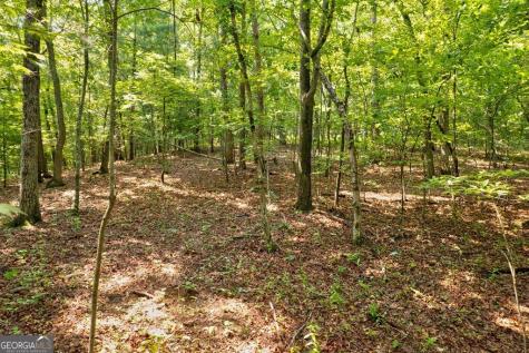 0 Shady Lane Mineral Bluff GA 30559
