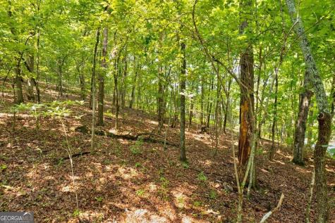 0 Shady Lane Mineral Bluff GA 30559