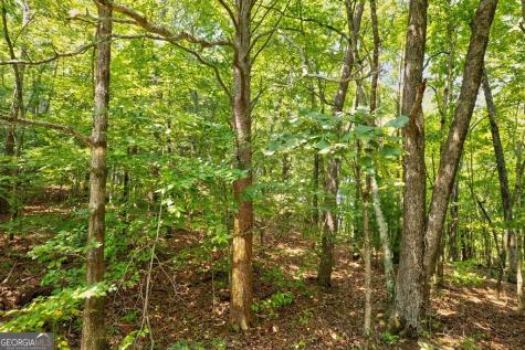 0 Shady Lane Mineral Bluff GA 30559