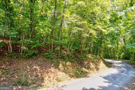 0 Shady Lane Mineral Bluff GA 30559