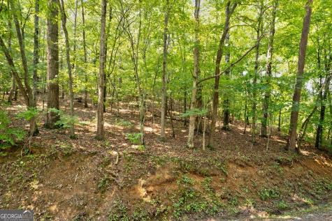0 Shady Lane Mineral Bluff GA 30559