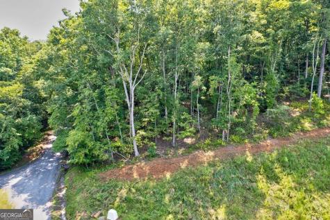 0 Shady Lane Mineral Bluff GA 30559