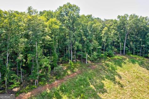0 Shady Lane Mineral Bluff GA 30559