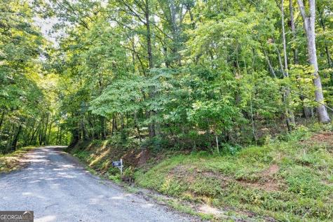 0 Shady Lane Mineral Bluff GA 30559