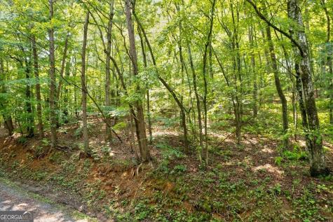 0 Shady Lane Mineral Bluff GA 30559