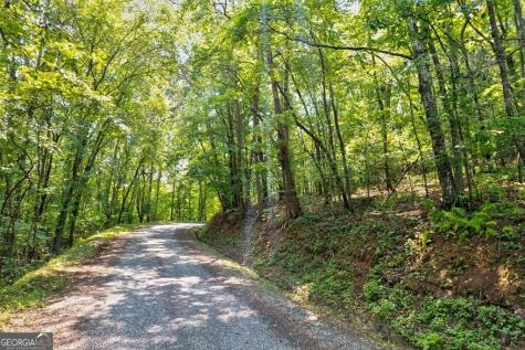0 Shady Lane Mineral Bluff GA 30559