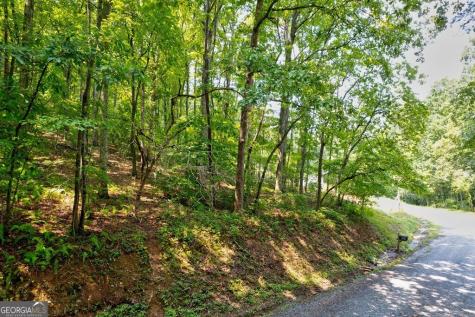 0 Shady Lane Mineral Bluff GA 30559