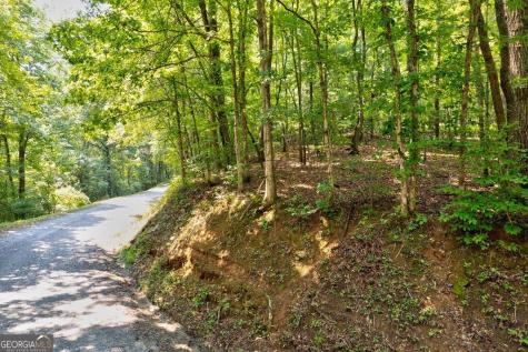 0 Shady Lane Mineral Bluff GA 30559
