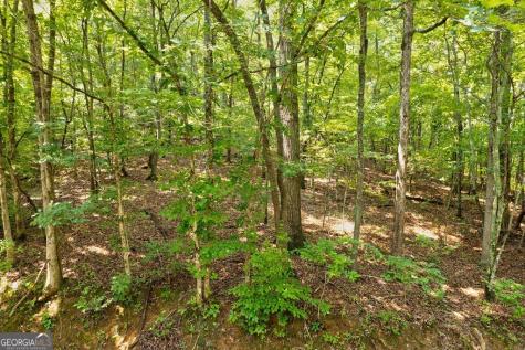0 Shady Lane Mineral Bluff GA 30559